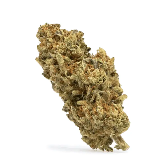 High-THCa-Flower-Gelonade-Bud-680x680 THCa Flower Gelonade - Image 1