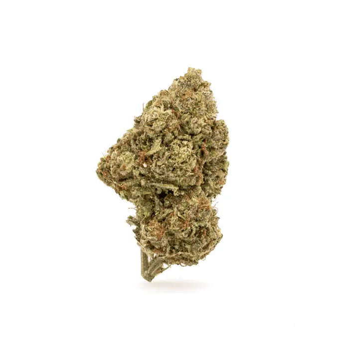 High-THCa-Gary-Payton-Flower-Bud-680x680 THCa Flower Gary Payton - Image 1
