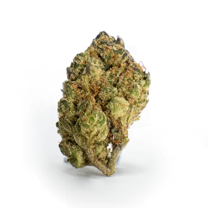 THCa-Flower-OG-Kush-Bud-1-680x680 THCa Flower OG Kush - Image 1